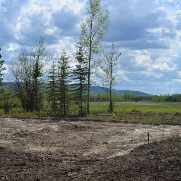 RCM Cad - Dovetail Timber Cabin Current Project