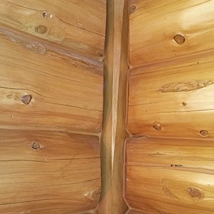 RCM Cad - Jackson Hole - Finished Project