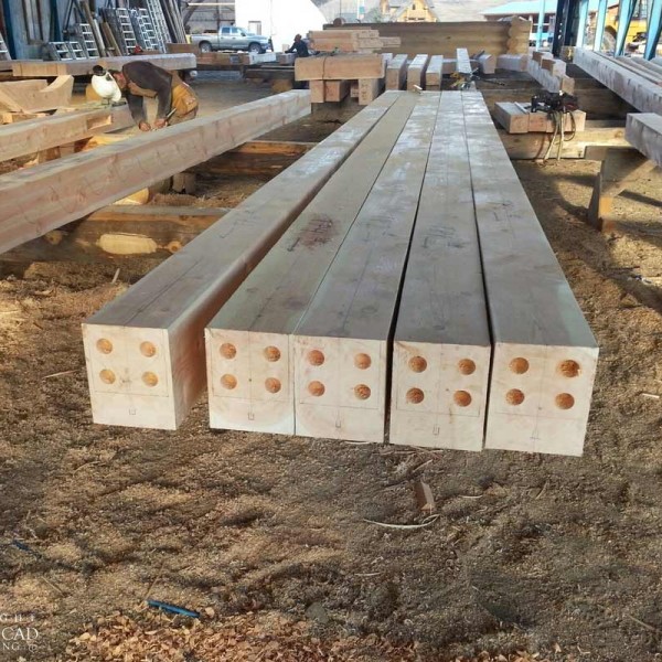 RCM Cad - Saskatchewan Timber Frame Current Project