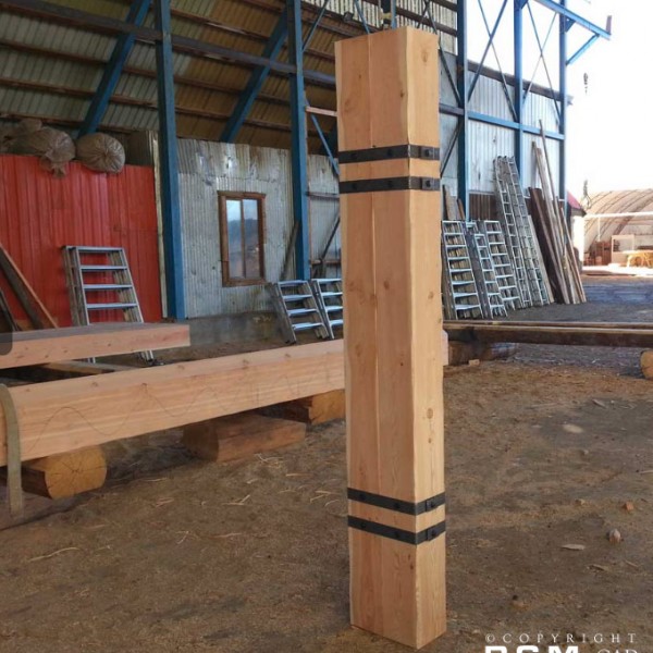 RCM Cad - Saskatchewan Timber Frame Current Project